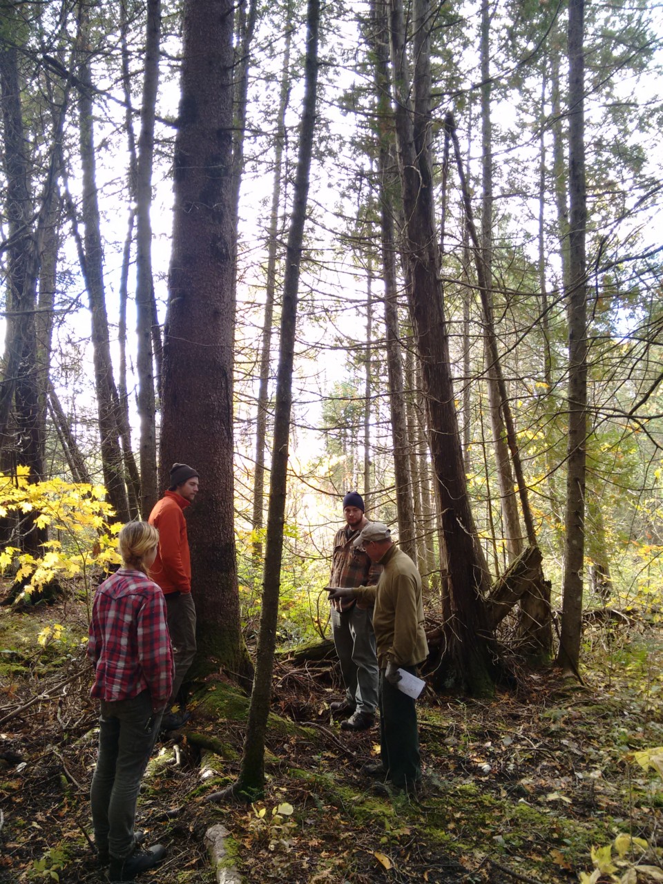 landowners, who care for most of our state"s forested land