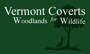 Vermont Coverts