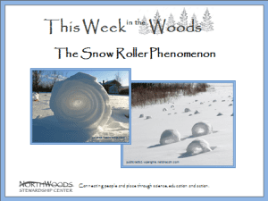 snowroller