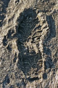 footprint-254795_960_720