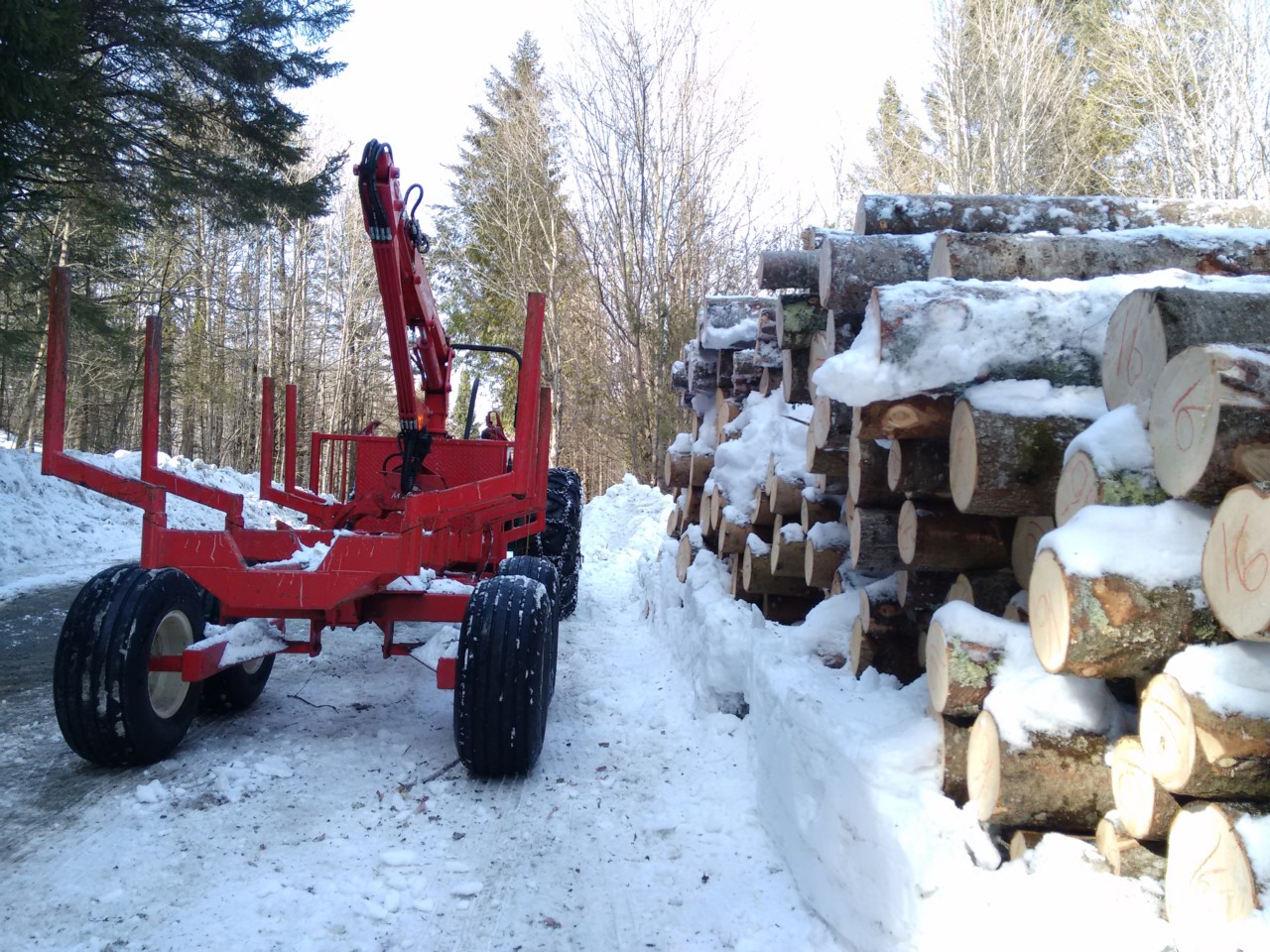 Take a Look: Low-Impact Forestry in the Works – Northwoods Stewardship ...