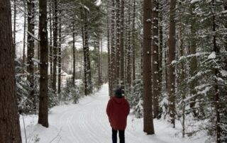 A person snowshoeing through tall red pines on on the All Persons Trail in fresh snow.