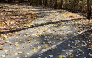 A photo of a curve of the All Persons Trail in autumn, with long shadows from trees and colorful yellow maple leaves on the path.